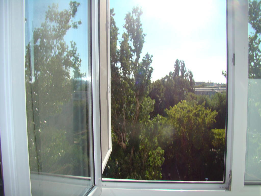 Alina Accommodation غالات الغرفة الصورة